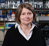 photo placeholder image