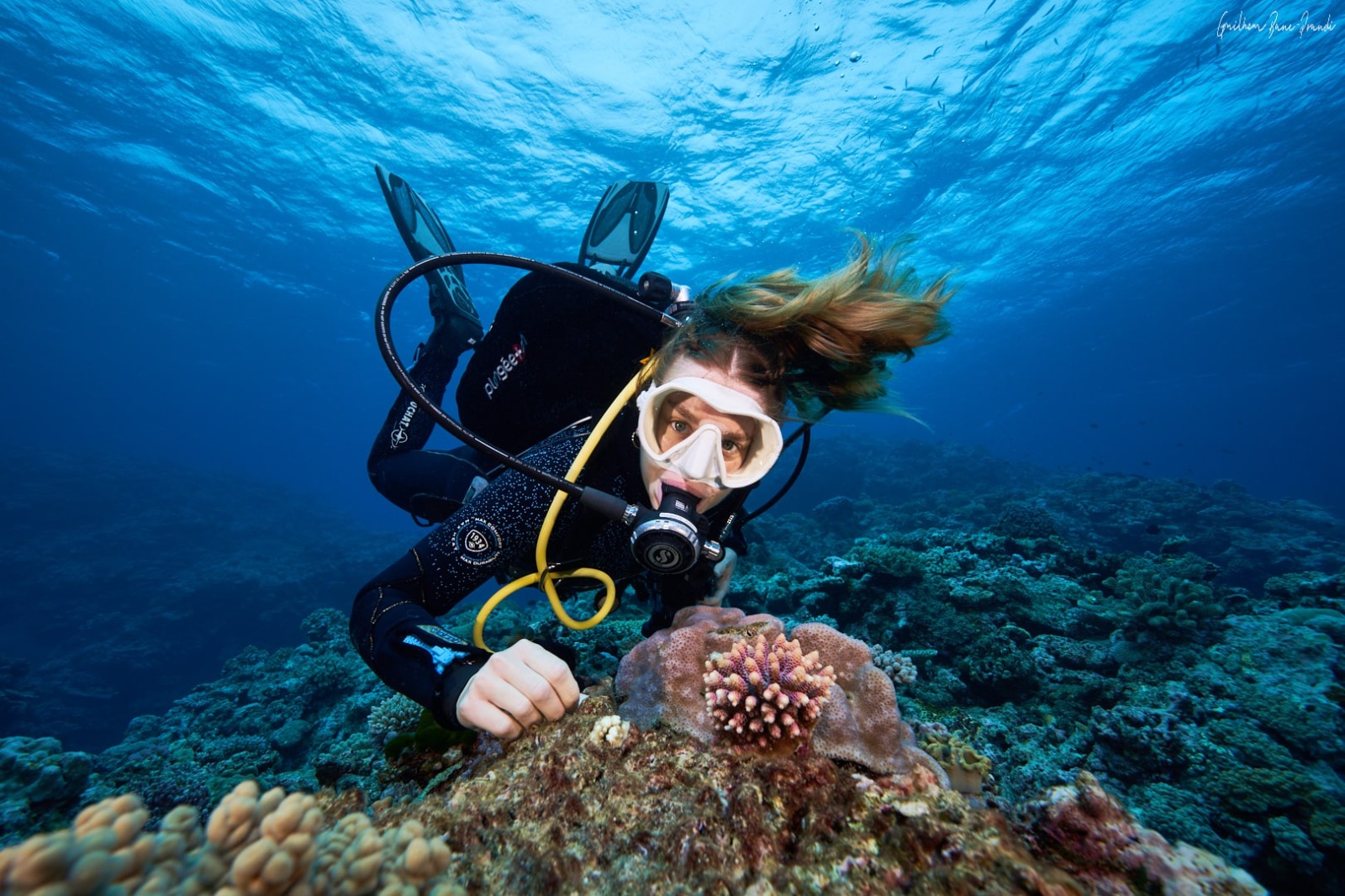 photo placeholder image