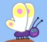 photo placeholder image