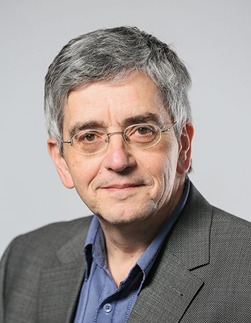 Professor Dragan Damjanovic