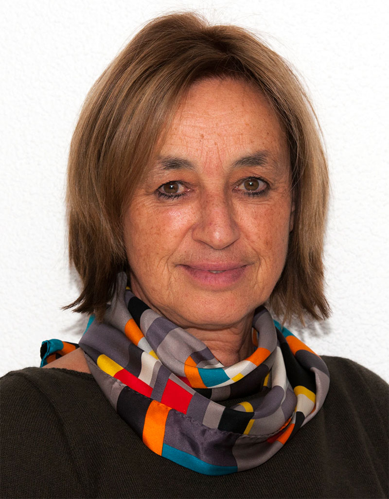 Professor Helena Van Swygenhoven