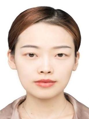 Pingping Li